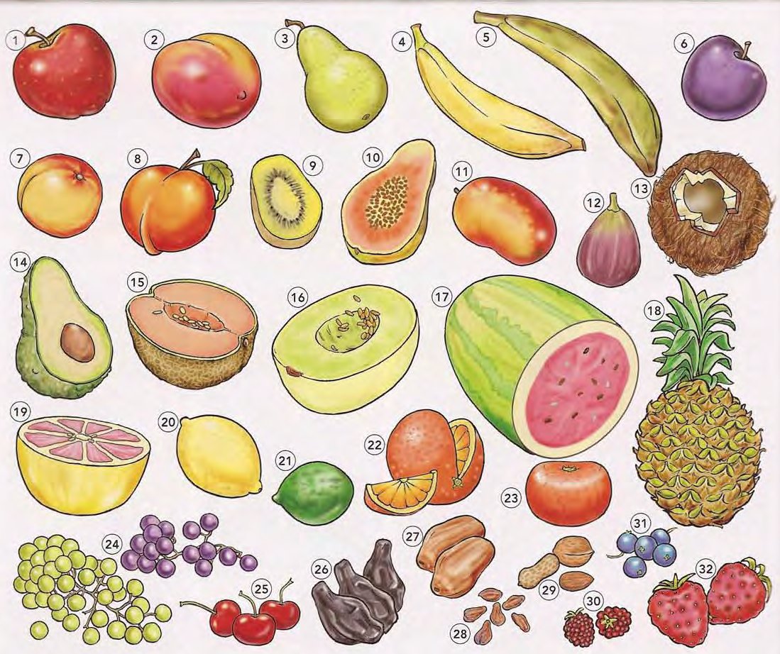 Fruits
