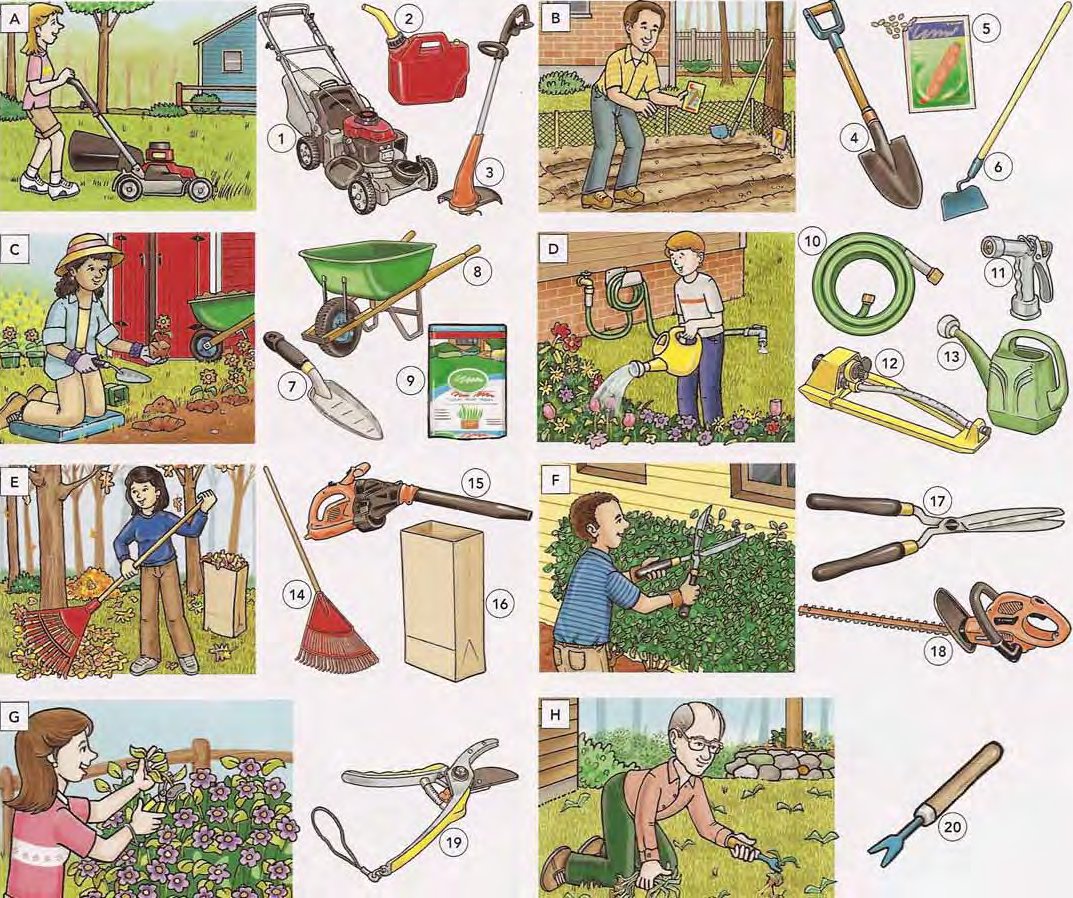 Gardening Tools and Actions