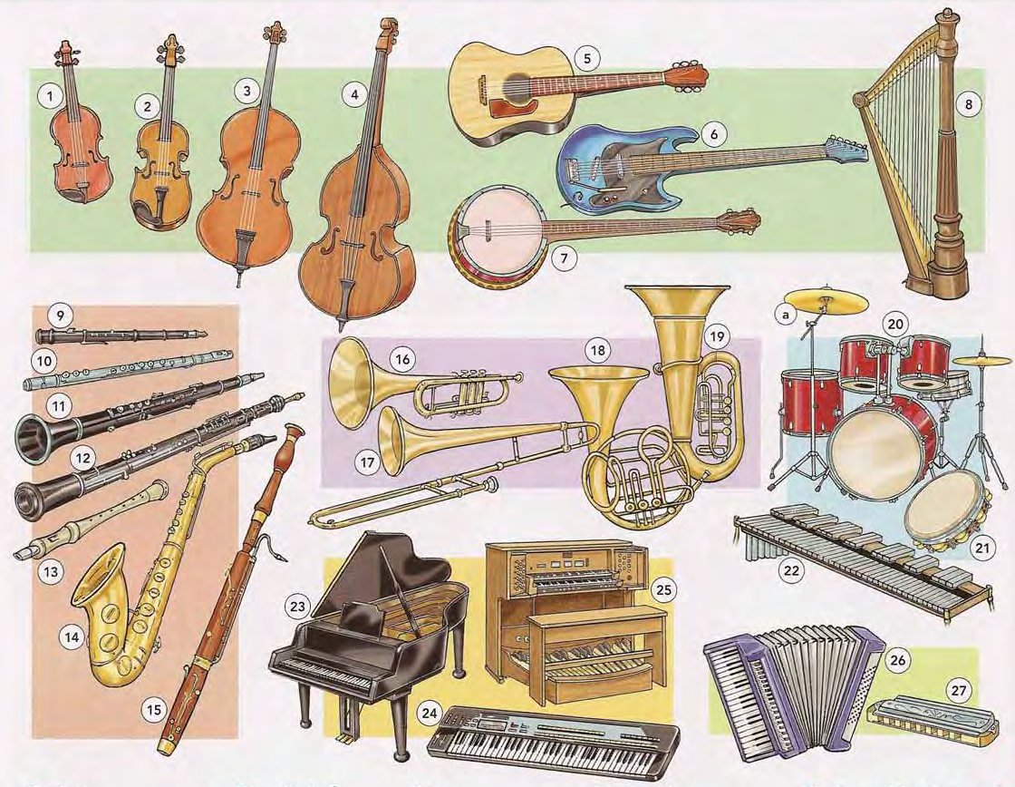 Musical Instruments