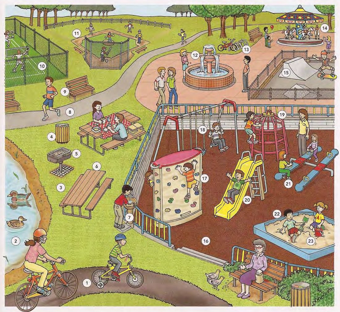 Park and Playground