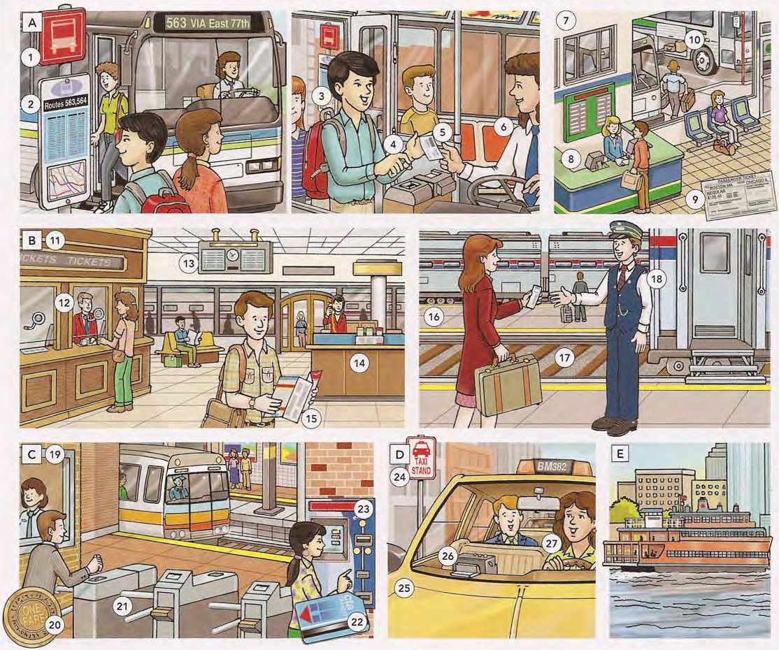 Public Transportation