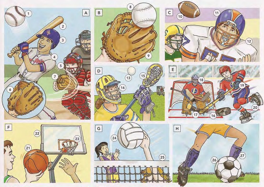 Team Sports Equipment