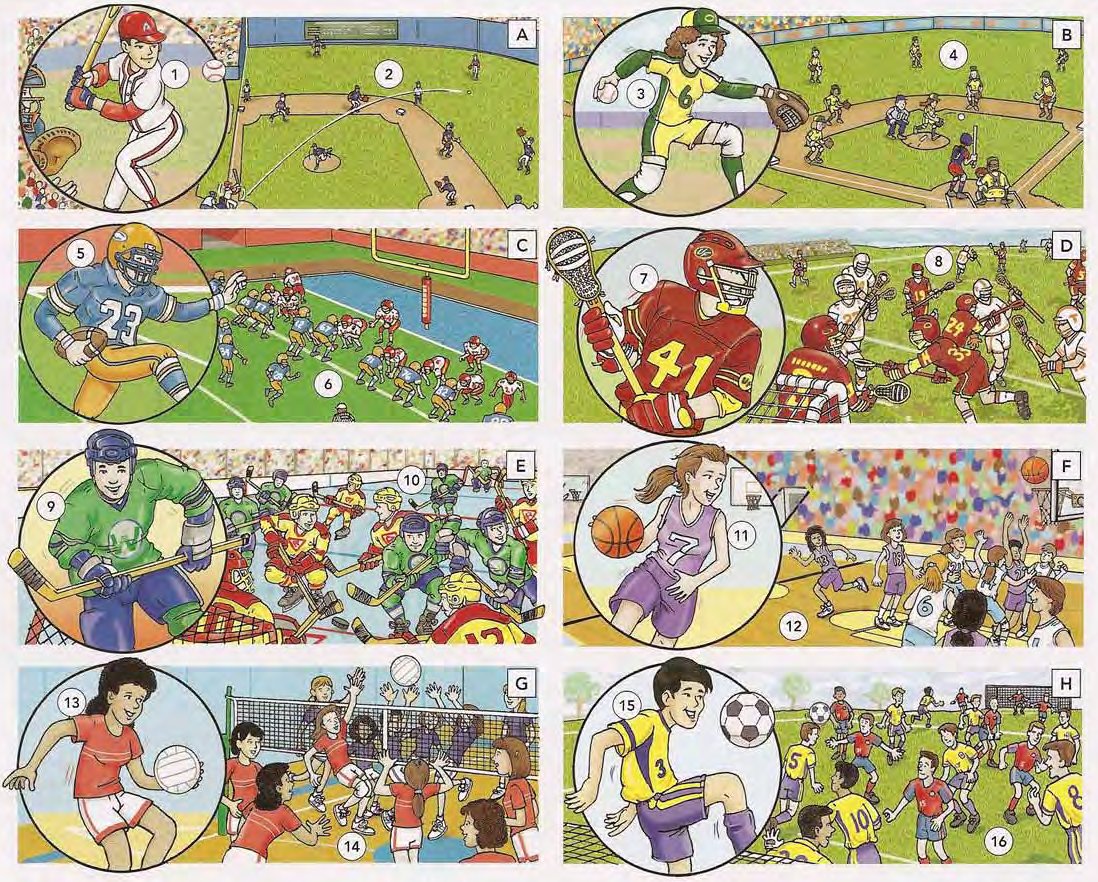 Team Sports