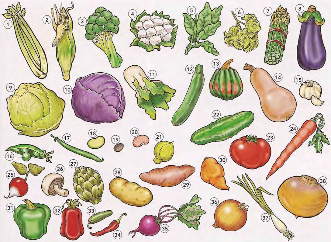 Vegetables