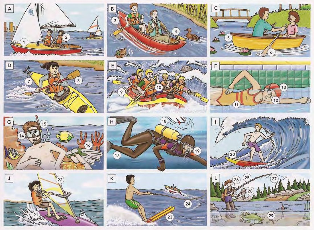 Water Sports and Recreation